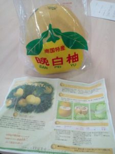 差し入れ「晩白柚」をいただきました！