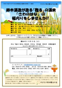 鈴木酒造が作る復興支援酒「甦る」の酒米　　　　　　　　　　　　　　　　「さわのはな」の稲刈りをしませんか!!
